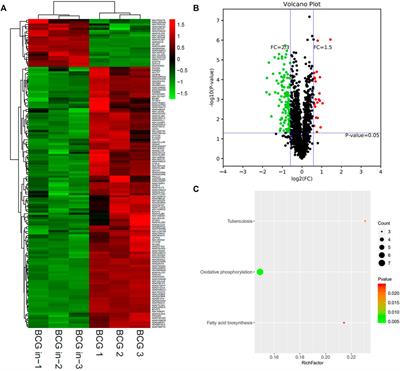 Comparative Analysis on Proteomics Profiles of Intracellular and Extracellular M.tb and BCG From Infected Human Macrophages